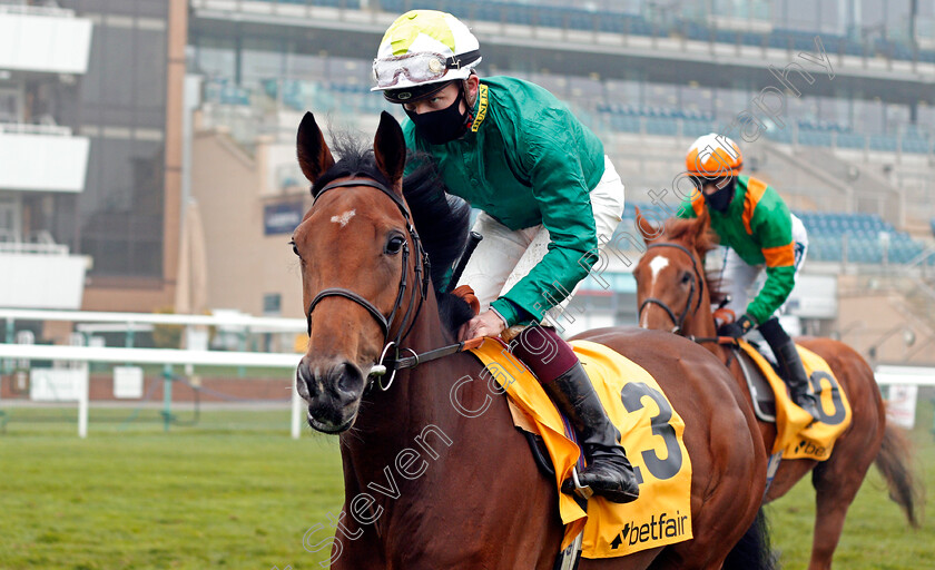 Trefoil-0001 
 TREFOIL (Rob Hornby)
Doncaster 7 Nov 2020 - Pic Steven Cargill / Racingfotos.com