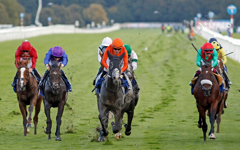 Grey-Cuban-0002 
 GREY CUBAN (centre, Jamie Spencer) beats T'CHALLA (right) and BLAKE (2nd left) in The Pertemps Network Handicap
Doncaster 12 Sep 2024 - Pic Steven Cargill / Racingfotos.com