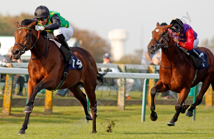 Willie-John-0005 
 WILLIE JOHN (Gerald Mosse) beats HUMBOLT CURRENT (right) in The British Stallion Studs EBF Novice Stakes Yarmouth 16 Oct 2017 - Pic Steven Cargill / Racingfotos.com