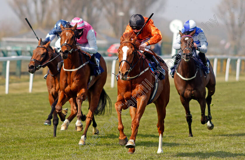 Bague-d Or-0003 
 BAGUE D'OR (Jack Mitchell) wins The Quinnbet Daily Free Bet Handicap
Yarmouth 20 Apr 2021 - Pic Steven Cargill / Racingfotos.com