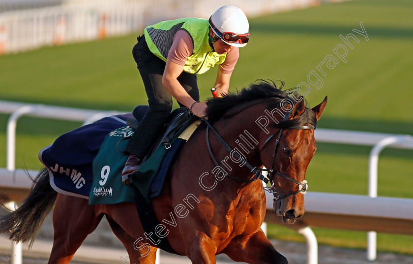 Mishriff-0010 
 MISHRIFF training for The Saudi Cup
King Abdulaziz Racetrack, Riyadh, Saudi Arabia 23 Feb 2022 - Pic Steven Cargill / Racingfotos.com