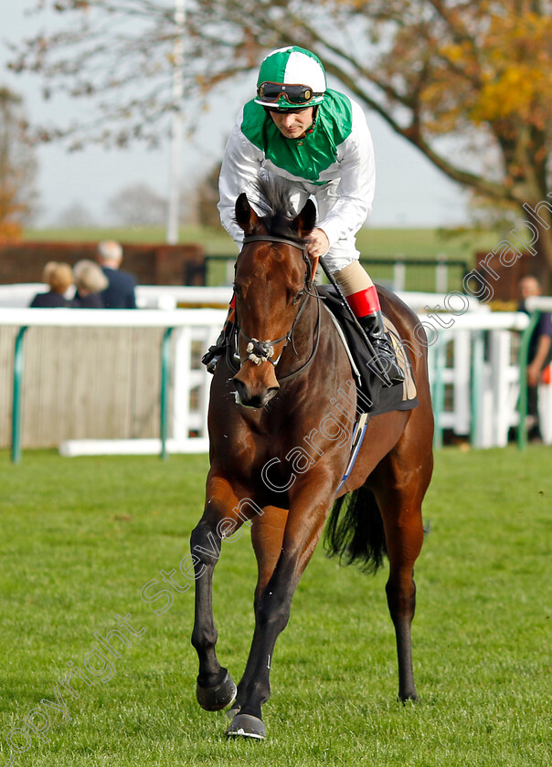 Al-Hargah-0001 
 AL HARGAH (Andrea Atzeni)
Newmarket 29 Oct 2022 - Pic Steven Cargill / Racingfotos.com