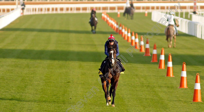 Pyledriver-0002 
 PYLEDRIVER training for the Turf Cup
King Abdulaziz Racetrack, Riyadh, Saudi Arabia 24 Feb 2022 - Pic Steven Cargill / Racingfotos.com