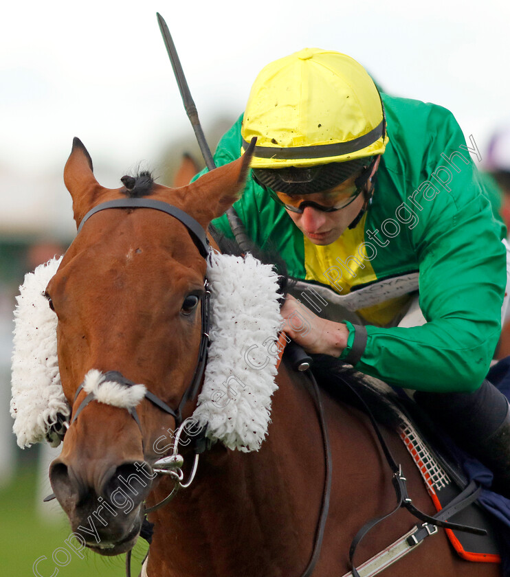 Dapper-Valley-0001 
 DAPPER VALLEY (Tom Marquand) wins The Join Moulton Racing Syndicate Handicap
Yarmouth 22 Oct 2024 - Pic Steven Cargill / Racingfotos.com