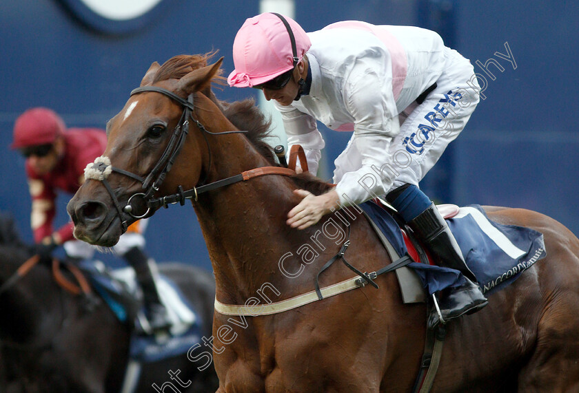 What-A-Welcome-0008 
 WHAT A WELCOME (Joey Haynes) wins The Canaccord Genuity Gordon Carter Handicap
Ascot 5 Oct 2018 - Pic Steven Cargill / Racingfotos.com