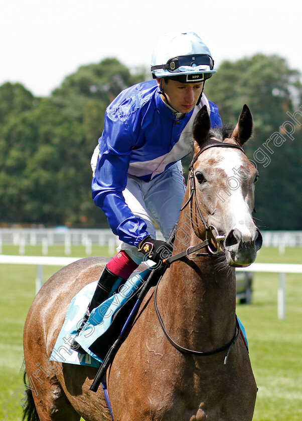 White-Wave-0001 
 WHITE WAVE (Oisin Murphy)
Ascot 23 Jul 2021 - Pic Steven Cargill / Racingfotos.com