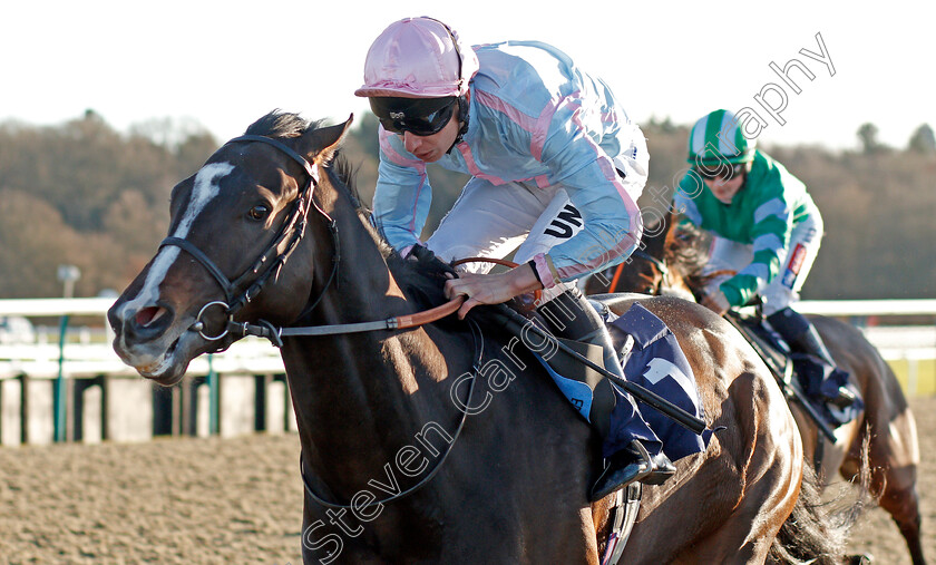 Brigham-Young-0004 
 BRIGHAM YOUNG (Luke Morris) wins The Bombardier March To Your Own Drum Handicap
Lingfield 4 Jan 2020 - Pic Steven Cargill / Racingfotos.com