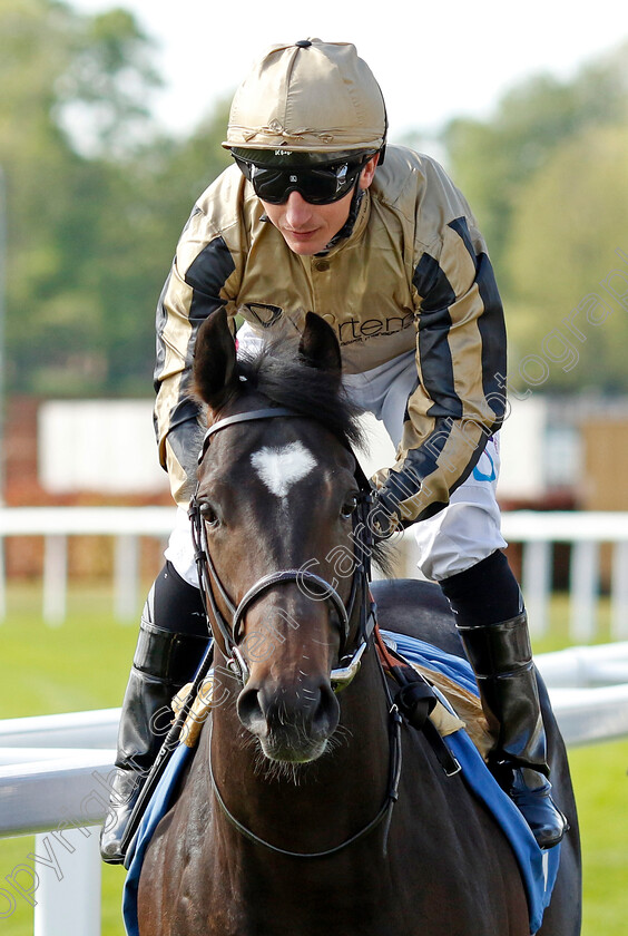 Drafted 
 DRAFTED (P J McDonald)
York 12 May 2022 - Pic Steven Cargill / Racingfotos.com