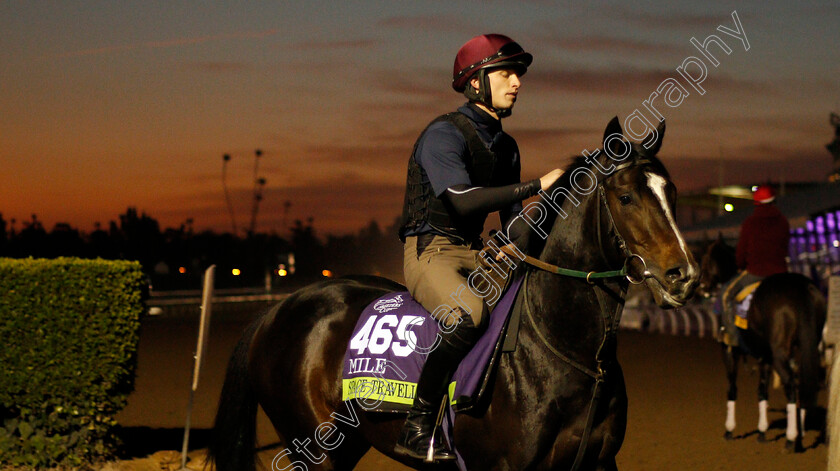 Space-Traveller-0001 
 SPACE TRAVELLER training for the Breeders' Cup Mile
Santa Anita USA 30 Oct 2019 - Pic Steven Cargill / Racingfotos.com