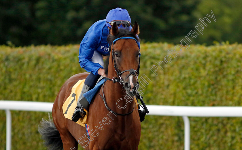 Fifth-Column-0001 
 FIFTH COLUMN (William Buick)
Kempton 7 Aug 2024 - Pic Steven Cargill / Racingfotos.com