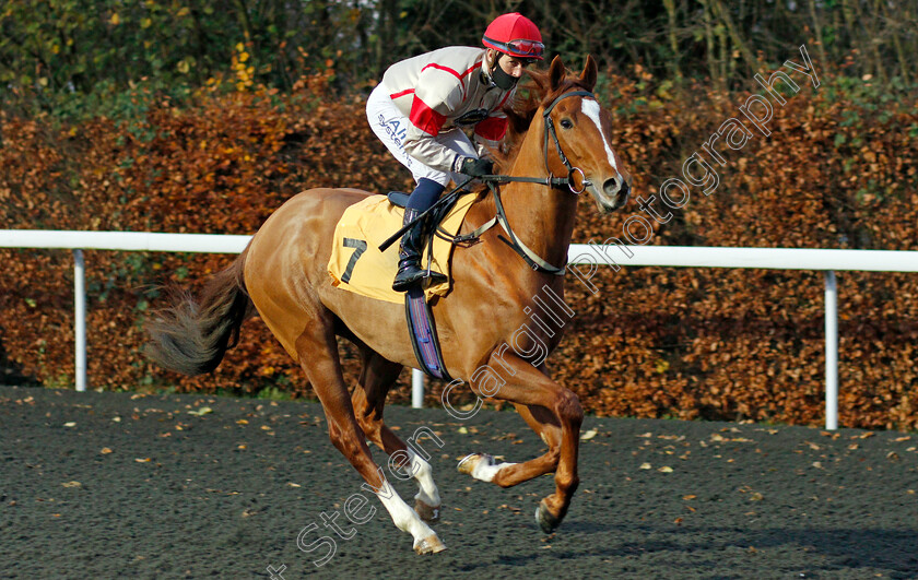 Zenzero-0001 
 ZENZERO (Jim Crowley)
Kempton 25 Nov 2020 - Pic Steven Cargill / Racingfotos.com