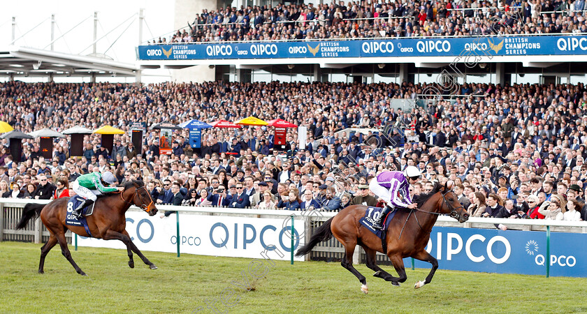 Magna-Grecia-0006 
 MAGNA GRECIA (Donnacha O'Brien) beats KING OF CHANGE (left) in The Qipco 2000 Guineas
Newmarket 4 May 2019 - Pic Steven Cargill / Racingfotos.com