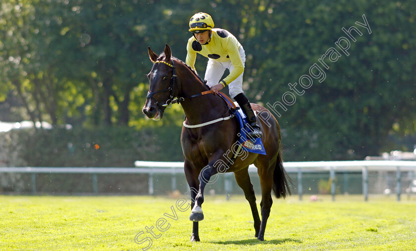 Cold-Case-0001 
 COLD CASE (Clifford Lee)
Haydock 27 May 2023 - Pic Steven Cargill / Racingfotos.com