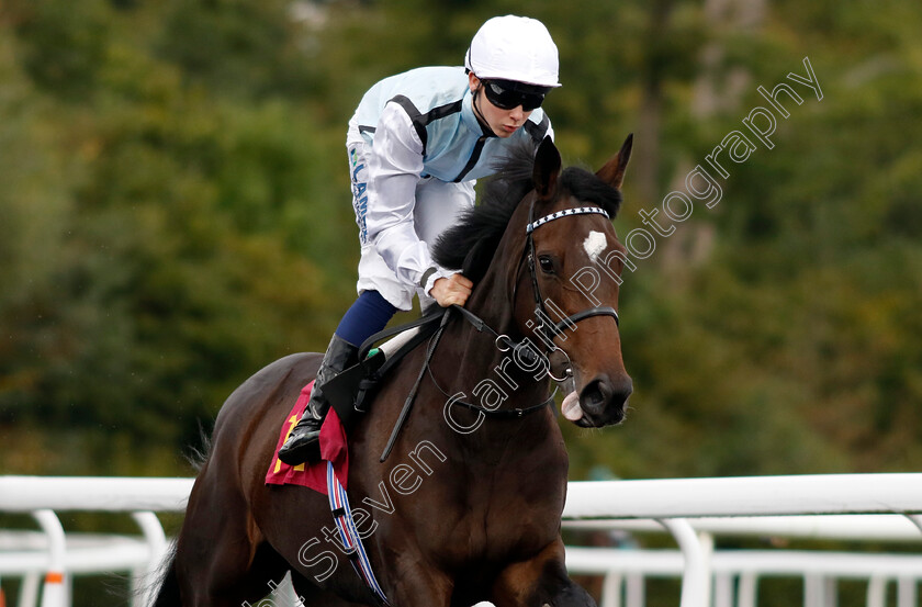 Volakes-0002 
 VOLAKES (Billy Loughnane)
Kempton 2 Oct 2024 - pic Steven Cargill / Racingfotos.com