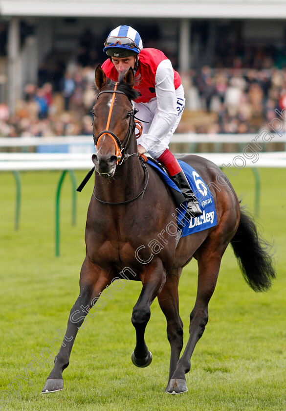 Positive-0002 
 POSITIVE (Adam Kirby)
Newmarket 12 Oct 2019 - Pic Steven Cargill / Racingfotos.com