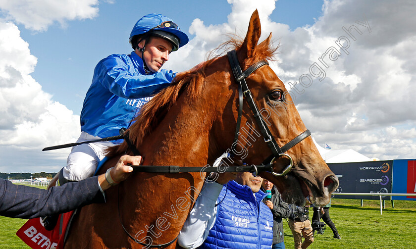 Desert-Flower-0006 
 DESERT FLOWER (William Buick) winner of The Betfred May Hill Stakes
Doncaster 12 Sep 2024 - Pic Steven Cargill / Racingfotos.com