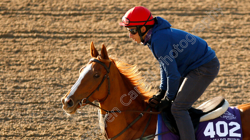 Eziyra-0001 
 EZIYRA exercising ahead of the The Breeders' Cup Filly & Mare Turf
Churchill Downs USA 29 Oct 2018 - Pic Steven Cargill / Racingfotos.com