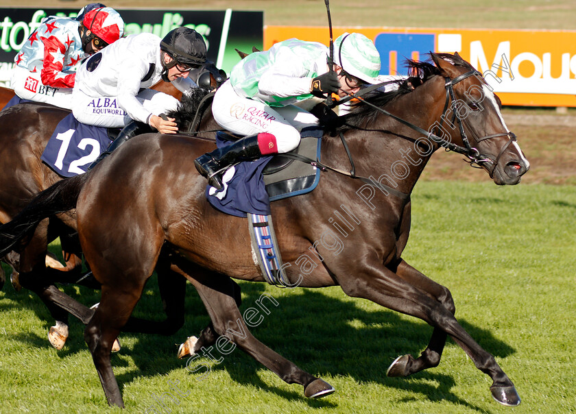 Martineo-0004 
 MARTINEO (Oisin Murphy) wins The Watch Free Replays On attheraces Handicap Div1
Yarmouth 25 Aug 2020 - Pic Steven Cargill / Racingfotos.com