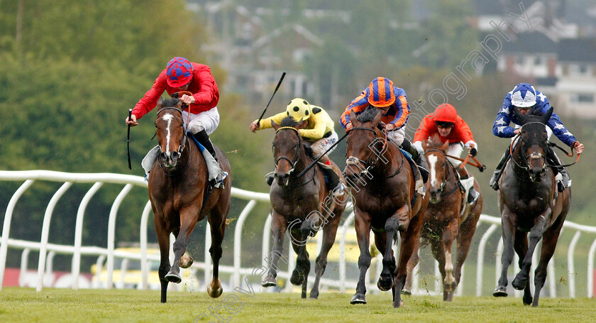 Mekong-0004 
 MEKONG (left, James Doyle) beats BARITONE (centre) in The Check Scoop 6 Results At totepoolliveinfo.com Novice Stakes Leicester 28 Apr 2018 - Pic Steven Cargill / Racingfotos.com