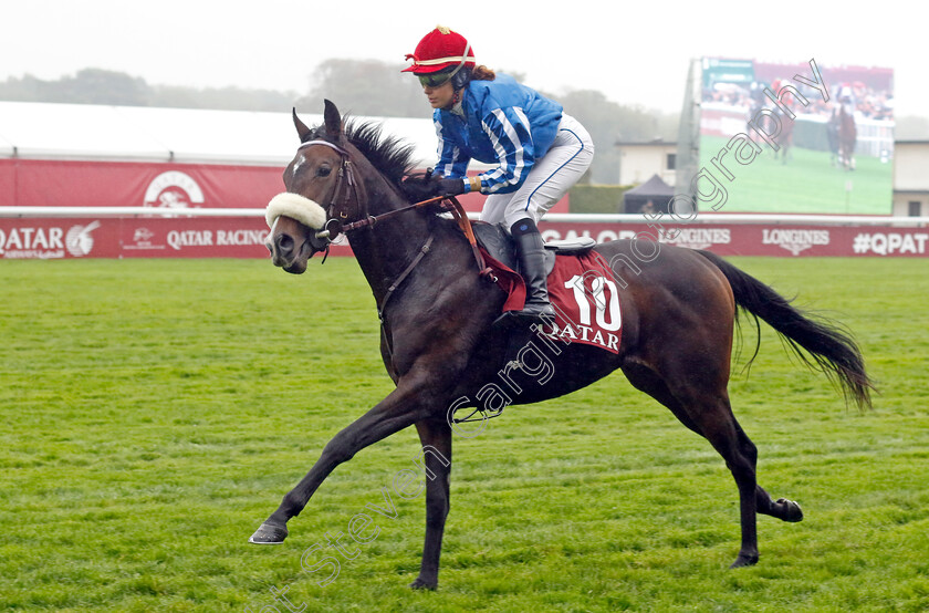 La-Ferret-Capienne-0001 
 LA FERRETCAPIENNE (O Thiebaut)
Longchamp 6 Oct 2024 - Pic Steven Cargill / Racingfotos.com