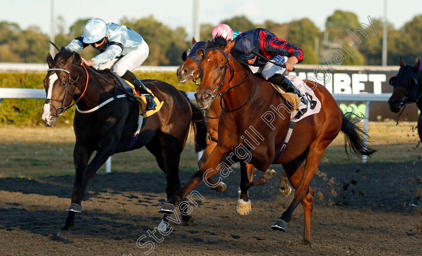 Turn-On-The-Charm-0002 
 TURN ON THE CHARM (right, Tom Marquand) beats LORD NEIDIN (left) in The Unibet 3 Uniboosts A Day Handicap
Kempton 18 Aug 2020 - Pic Steven Cargill / Racingfotos.com