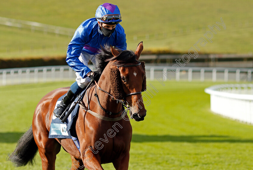 Gypsy-Whisper-0001 
 GYPSY WHISPER (William Buick)
Goodwood 11 Oct 2020 - Pic Steven Cargill / Racingfotos.com