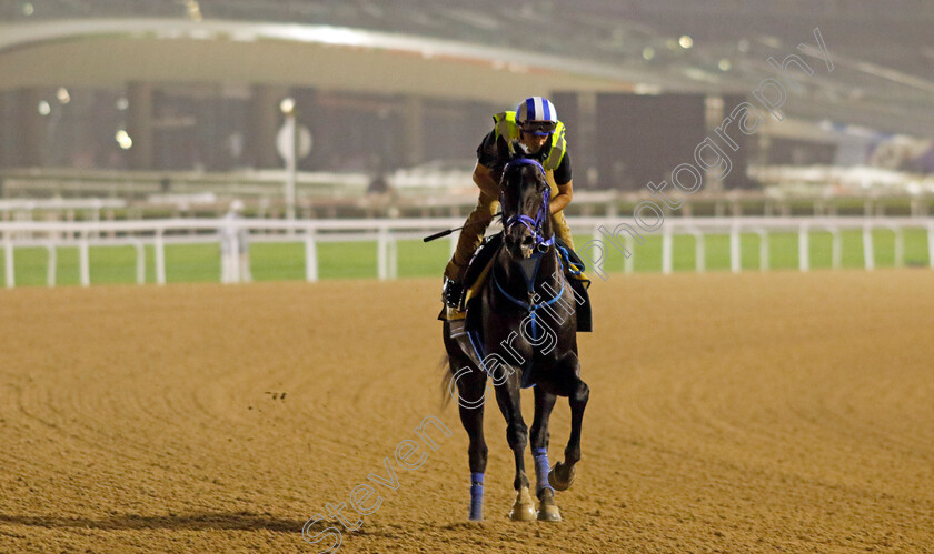 Run-Classic-0002 
 RUN CLASSIC training for The Golden Shaheen
Meydan Dubai 26 Mar 2024 - Pic Steven Cargill / Racingfotos.com