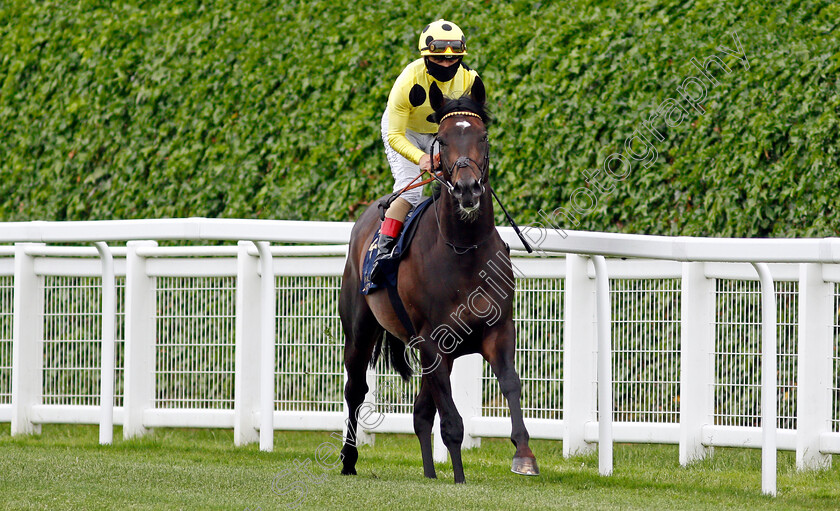 Movin-Time-0001 
 MOVIN TIME (Andrea Atzeni)
Ascot 17 Jun 2021 - Pic Steven Cargill / Racingfotos.com