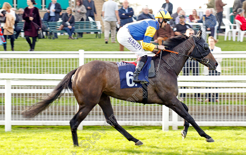 Chanson-D Amour 
 CHANSON D'AMOUR (Jack Mitchell)
Yarmouth 19 Oct 2021 - Pic Steven Cargill / Racingfotos.com