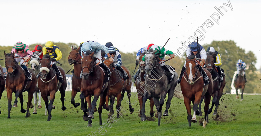 Rohaan-0005 
 ROHAAN (Neil Callan) beats MITROSONFIRE (centre) and ENGLISH OAK (left) in The Ascot Iron Stand Membership Handicap
Ascot 6 Oct 2023 - Pic Steven Cargill / Racingfotos.com