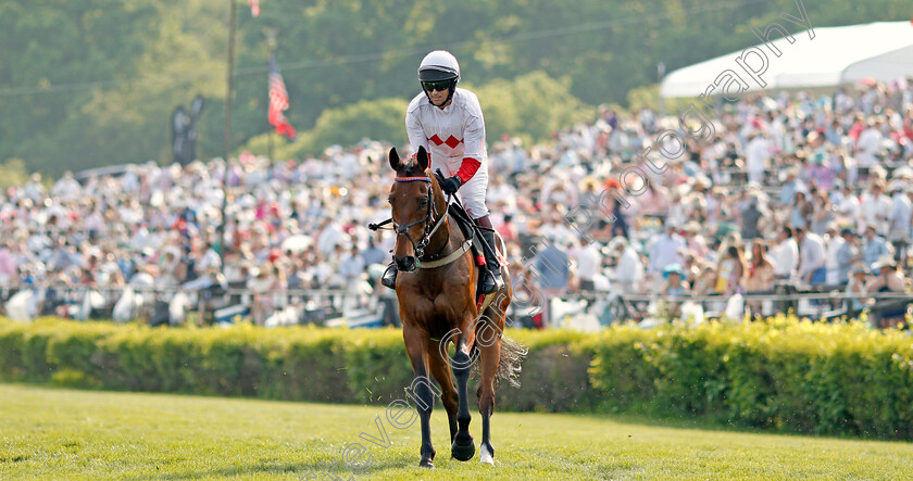 Zanjabeel-0001 
 ZANJABEEL (Ross Geraghty) before winning The Calvin Houghland Iroquois Hurdle Grade 1, Percy Warner Park, Nashville 12 May 2018 - Pic Steven Cargill / Racingfotos.com