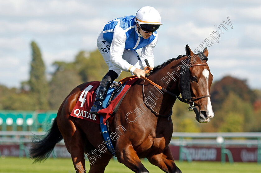 Double-Major-0001 
 DOUBLE MAJOR (Maxime Guyon)
Longchamp 5 Oct 2024 - Pic Steven Cargill / Racingfotos.com