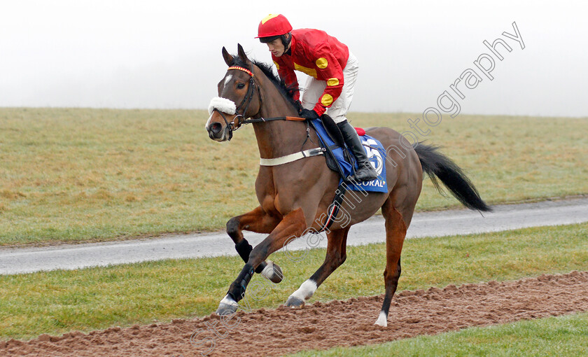 Lord-Bryan-0001 
 LORD BRYAN (Alan Johns) 
Chepstow 27 Dec 2019 - Pic Steven Cargill / Racingfotos.com