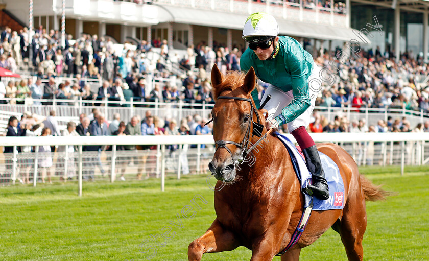 Scope-0002 
 SCOPE (Rob Hornby)
York 18 Aug 2021 - Pic Steven Cargill / Racingfotos.com