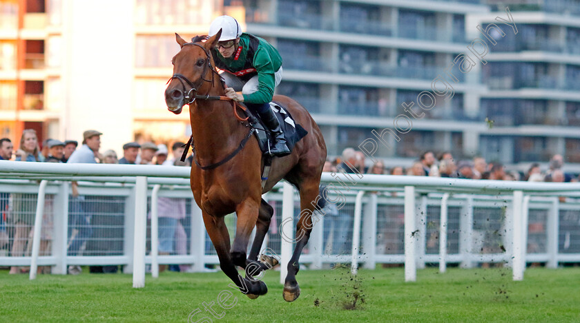 Stonking-0003 
 STONKING (Hector Crouch) wins The Rayner Bosch Car Service Handicap
Newbury 27 Jul 2023 - Pic Steven Cargill / Racingfotos.com