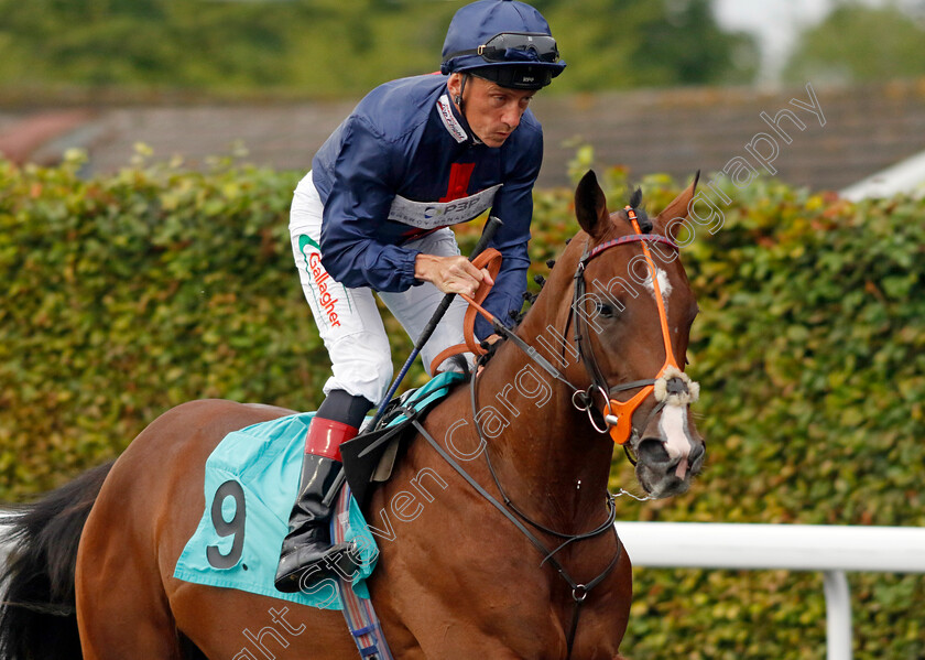 Pendragon-0001 
 PENDRAGON (Shane Kelly)
Kempton 6 Sep 2024 - Pic Steven Cargill / Racingfotos.com