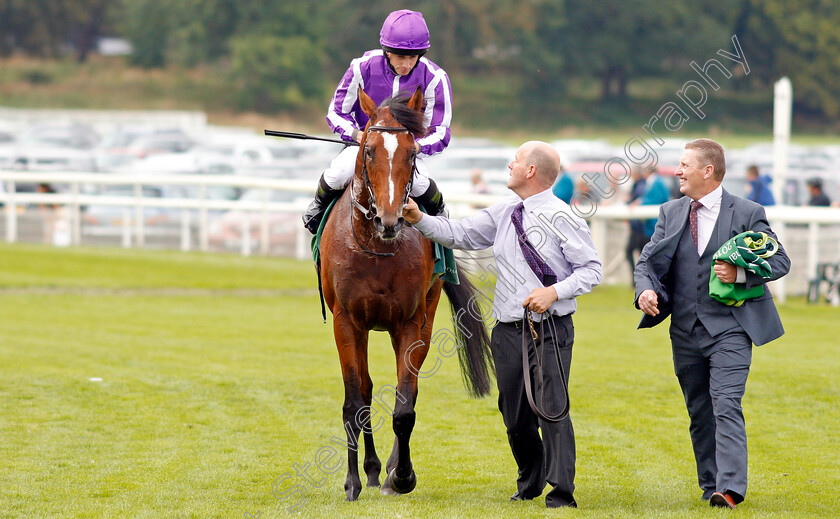 Japan-0010 
 JAPAN (Ryan Moore) after The Juddmonte International Stakes
York 21 Aug 2019 - Pic Steven Cargill / Racingfotos.com