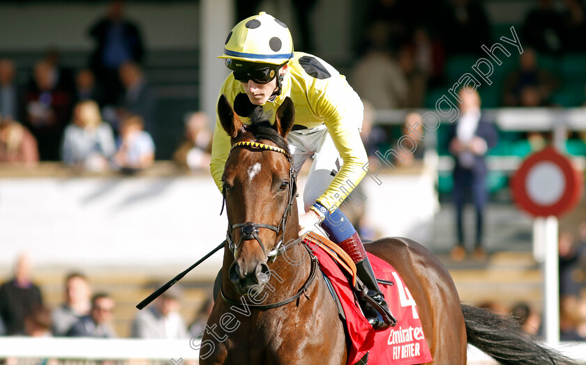 Exoplanet-0003 
 EXOPLANET (David Egan)
Newmarket 8 Oct 2022 - Pic Steven Cargill / Racingfotos.com