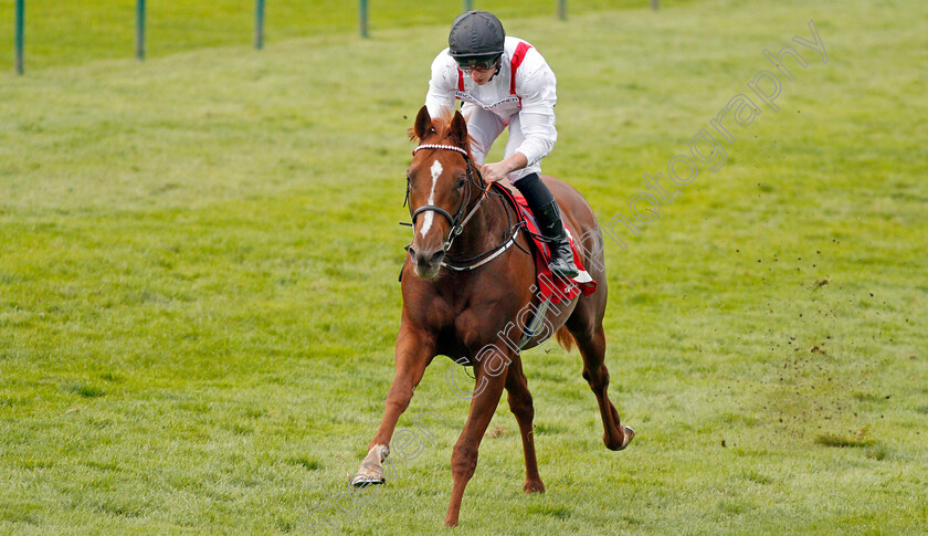 Convict-0007 
 CONVICT (Tom Marquand) wins The Matchbook EBF Future Stayers Nursery 
Newmarket 23 Oct 2019 - Pic Steven Cargill / Racingfotos.com