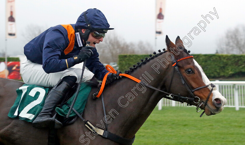 Mirabad-0002 
 MIRABAD (Luke Scott) wins The Catesby Estates Handicap Hurdle
Cheltenham 13 Dec 2024 - Pic Steven Cargill / Racingfotos.com