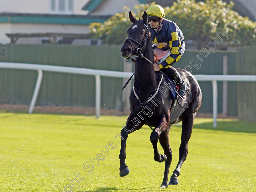 Big-Bear-Hug 
 BIG BEAR HUG (Jack Mitchell)
Yarmouth 19 Oct 2021 - Pic Steven Cargill / Racingfotos.com