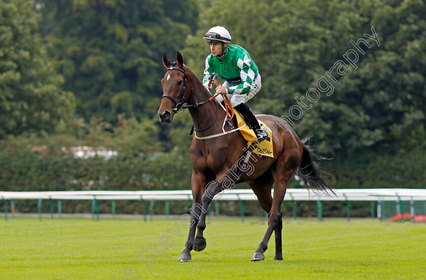 Roseabad 
 ROSEABAD (Richard Kingscote)
Haydock 4 Sep 2021 - Pic Steven Cargill / Racingfotos.com