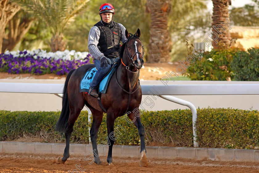 Sir-Roque-0002 
 SIR ROQUE training for The International Handicap
King Abdulaziz Racecourse, Saudi Arabia 20 Feb 2024 - Pic Steven Cargill / Racingfotos.com