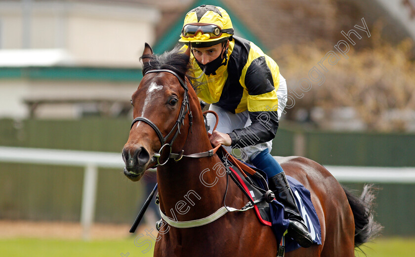 King-Of-Gold-0001 
 KING OF GOLD (William Buick)
Yarmouth 19 May 2021 - Pic Steven Cargill / Racingfotos.com