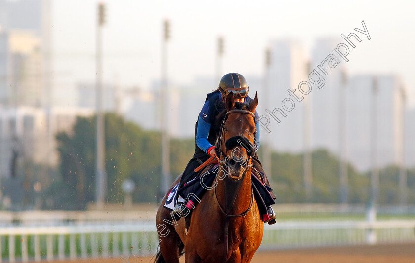 Russipant-Fal-0002 
 RUSSIPANT FAL training at the Dubai Racing Carnival
Meydan 22 Jan 2025 - Pic Steven Cargill / Racingfotos.com