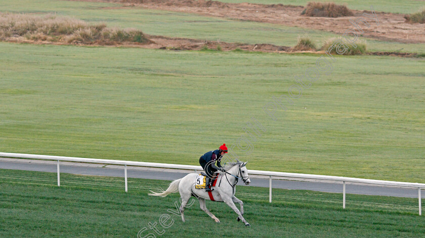 Lord-Glitters-0002 
 LORD GLITTERS training for The Dubai Turf
Meydan, Dubai, 24 Mar 2022 - Pic Steven Cargill / Racingfotos.com