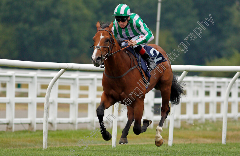 Balavad-0004 
 BALAVAD (Shane Kelly) wins The Betway Nursery
Lingfield 14 Aug 2020 - Pic Steven Cargill / Racingfotos.com