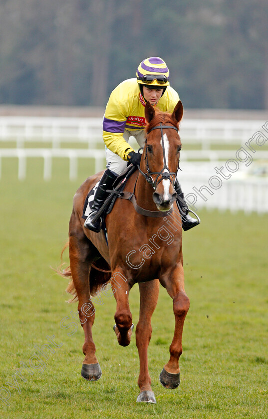 Indirocco-0001 
 INDIROCCO (Bridget Andrews) Ascot 25 Mar 2018 - Pic Steven Cargill / Racingfotos.com