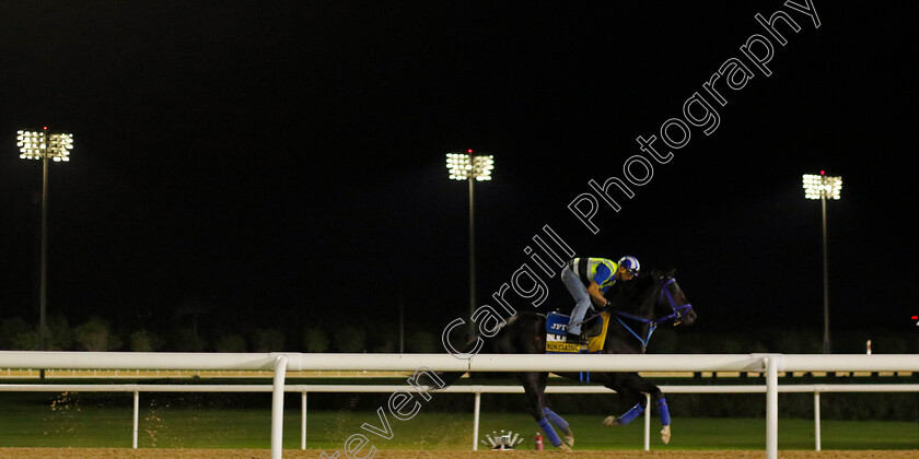 Run-Classic-0001 
 RUN CLASSIC training for The Golden Shaheen
Meydan Dubai 27 Mar 2024 - Pic Steven Cargill / Racingfotos.com