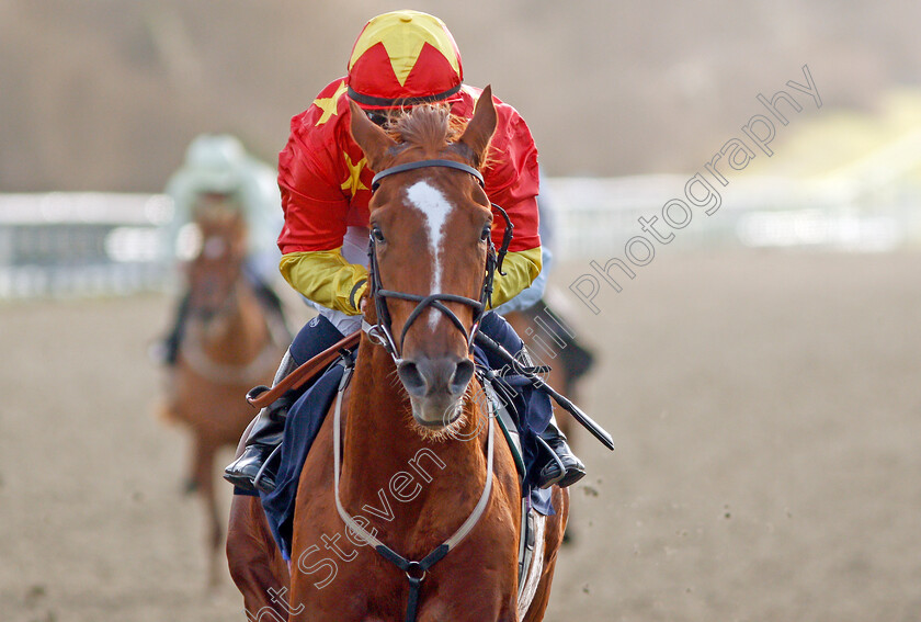 Harrison-Point-0006 
 HARRISON POINT (Hollie Doyle) wins The Ladbrokes Where The Nation Plays EBF Novice Stakes
Lingfield 9 Dec 2019 - Pic Steven Cargill / Racingfotos.com